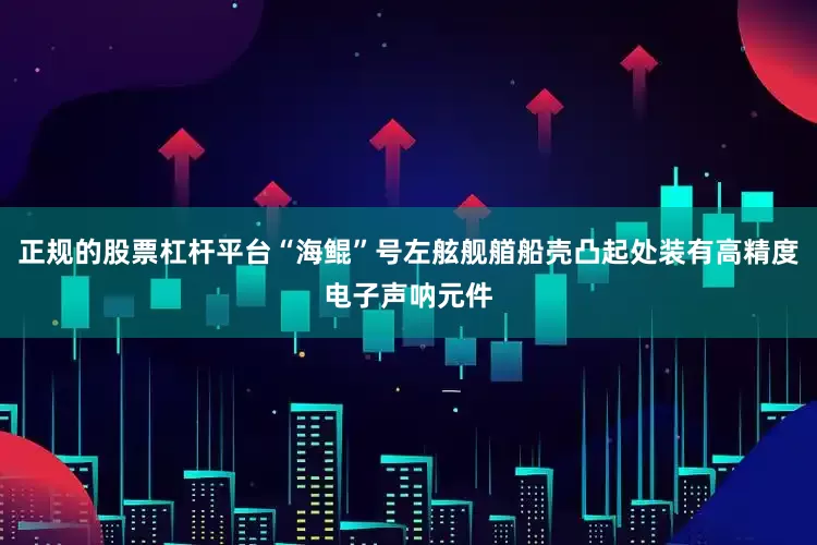 正规的股票杠杆平台“海鲲”号左舷舰艏船壳凸起处装有高精度电子声呐元件