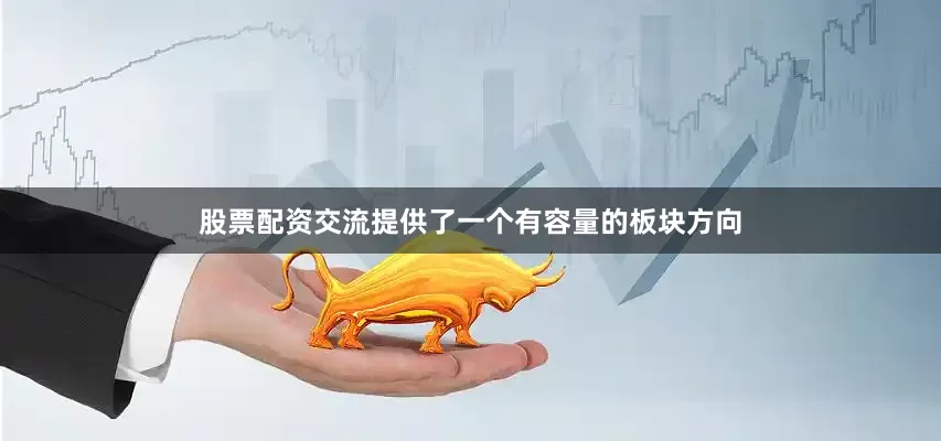 股票配资交流提供了一个有容量的板块方向