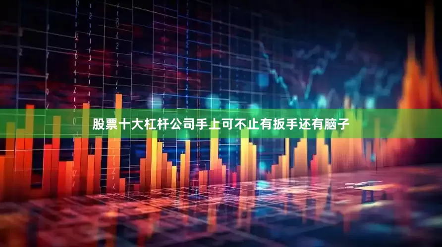 股票十大杠杆公司手上可不止有扳手还有脑子