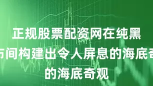 正规股票配资网在纯黑幕布间构建出令人屏息的海底奇观