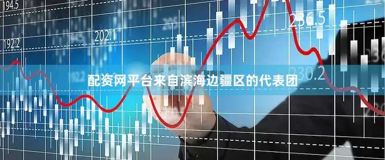 配资网平台来自滨海边疆区的代表团