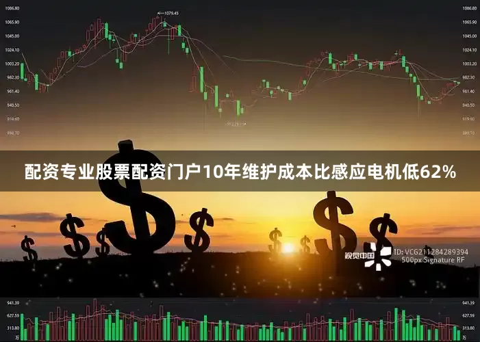 配资专业股票配资门户10年维护成本比感应电机低62%