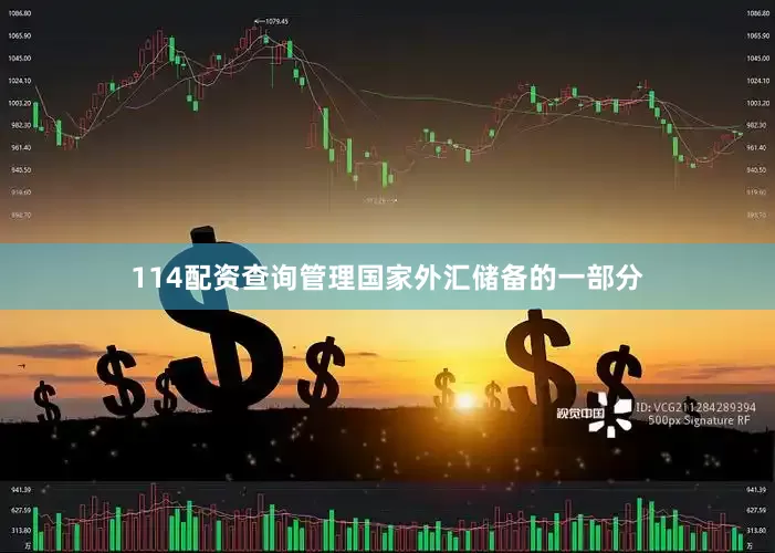 114配资查询管理国家外汇储备的一部分